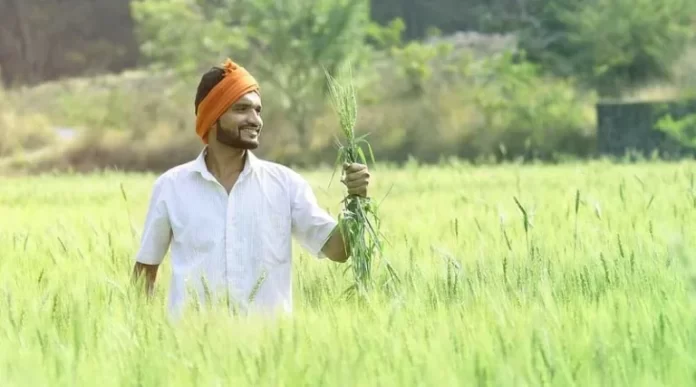 CG News : 29 मई से गांव-गांव पहुंचेंगे कृषि वैज्ञानिक, किसानों को सिखाएंगे उन्नत खेती के तरीके