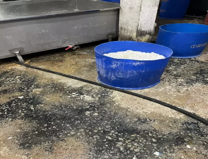 रायपुर में नकली पनीर फैक्ट्री का भंडाफोड़, 700 किलो ज़ब्त, फैक्ट्री सील